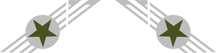 2020-2026 Gladiator Cab and Bed Side Bar Stripes Graphic graphic design style 02 image.